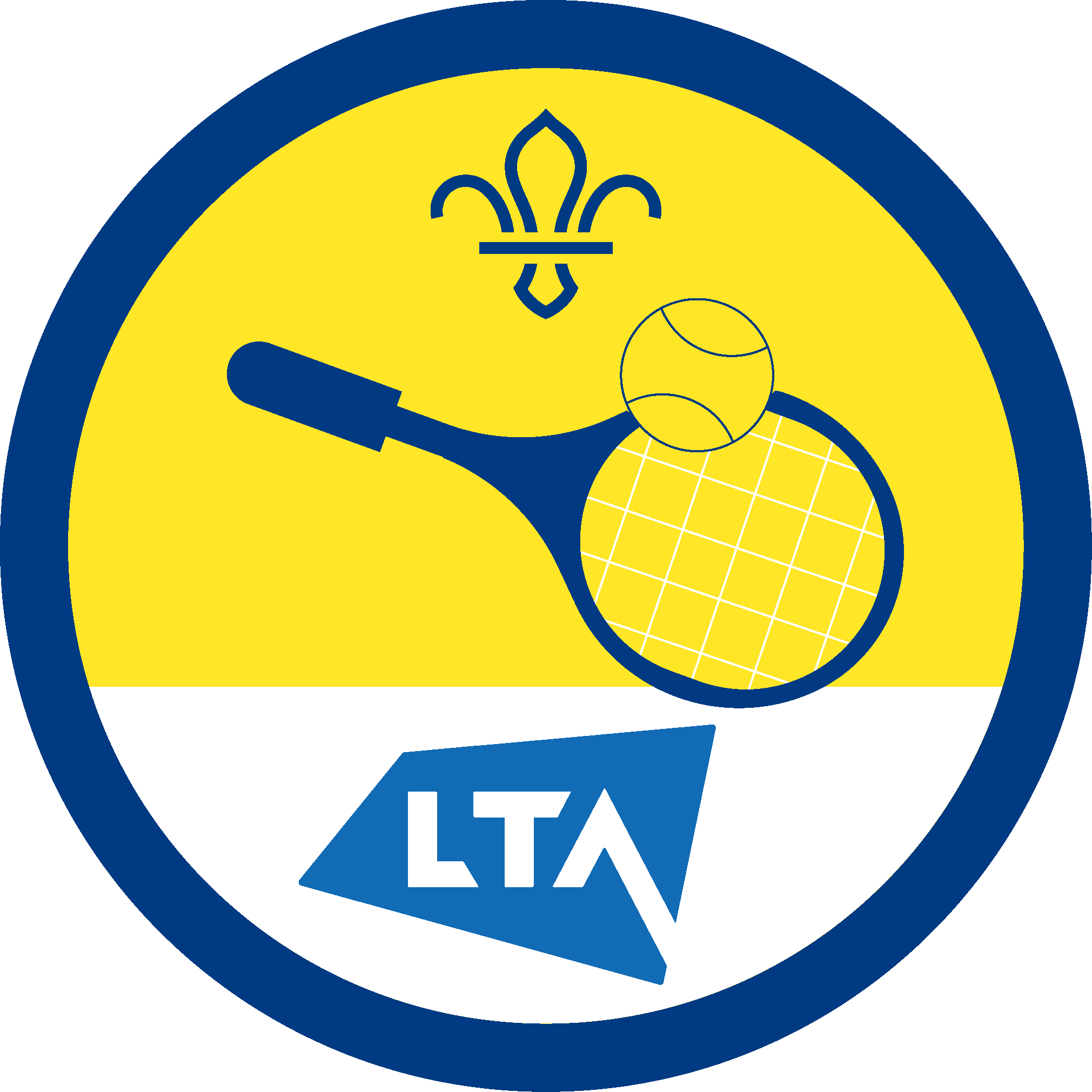 Sports badge