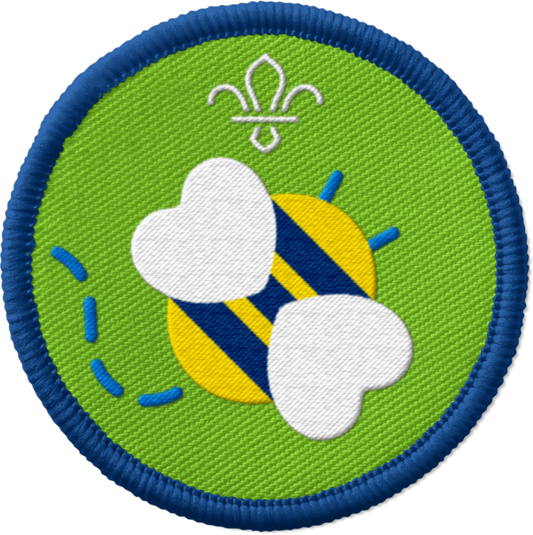 Squirrels Go Wild Activity Badge | Scouts