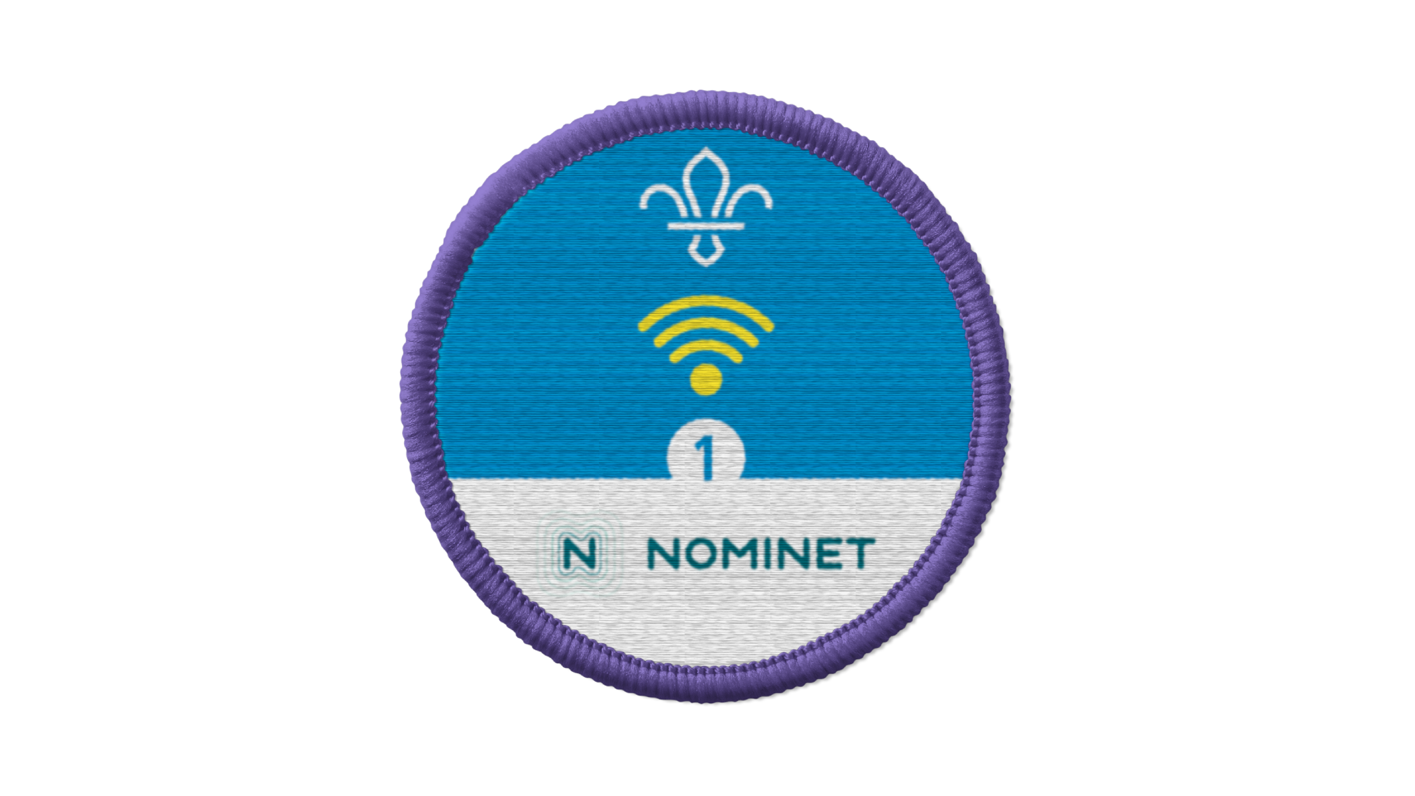 Level 3 Current UK Scouting Scout Proficiency/Activity Badge Digital Citizen 
