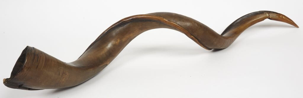 Robert Baden-Powell’s kudu horn brought back from Africa and used at the Brownsea Island camp and to summon participants to the start of Wood Badge Courses