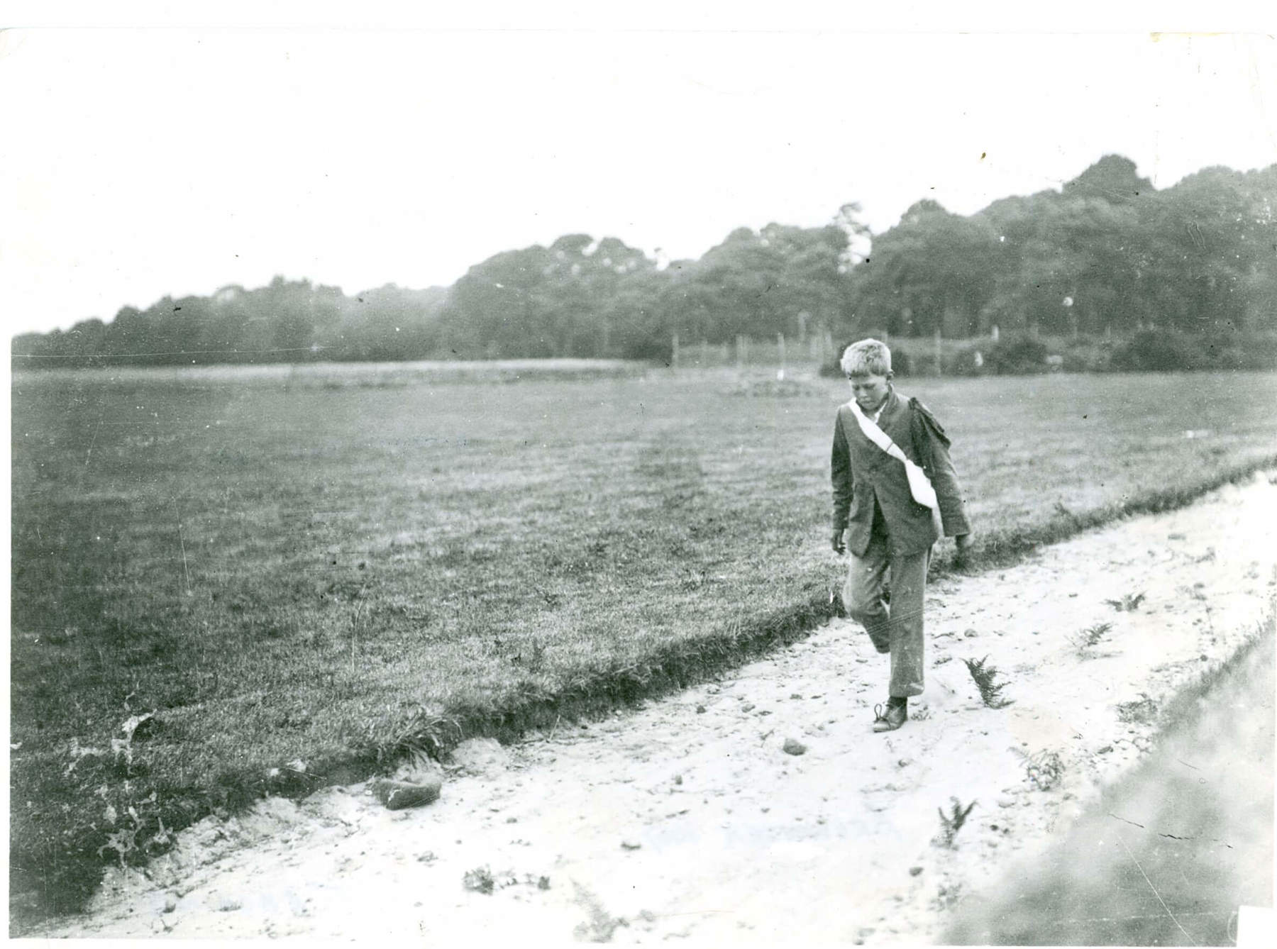 The Brownsea Island tracking pit