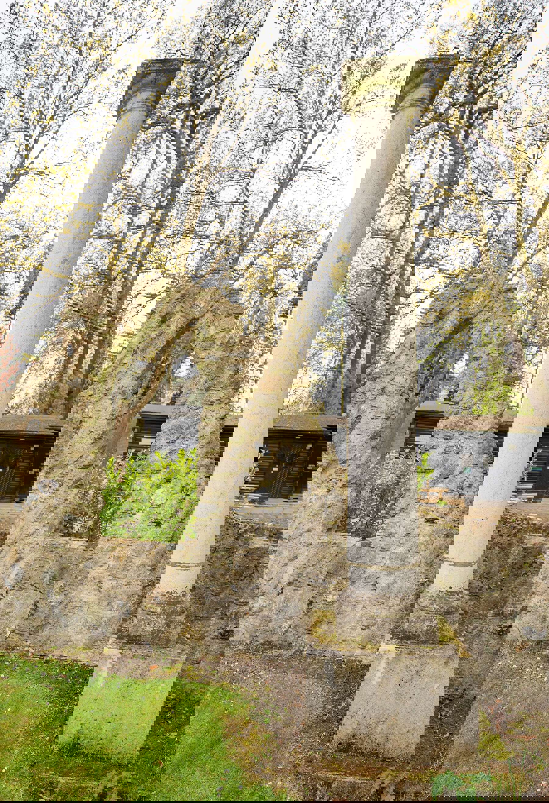 Image shows a single stone column in the grounds of Gilwell Park