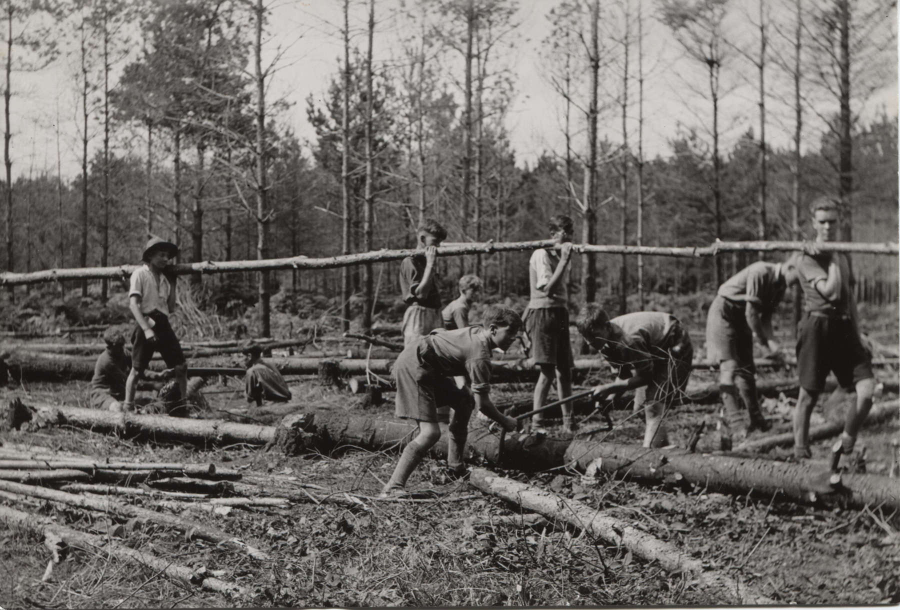Black and white photo of a group of Scouts in a forest, carrying a long wooden log