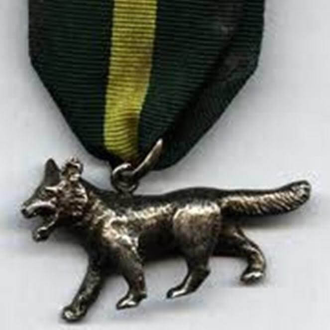 Image shows the Silver Wolf award, which is a silver wolf medallion on a green and yellow ribbon