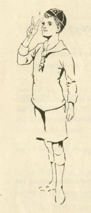 An illustration showing a Wolf Cub in a uniform and necker