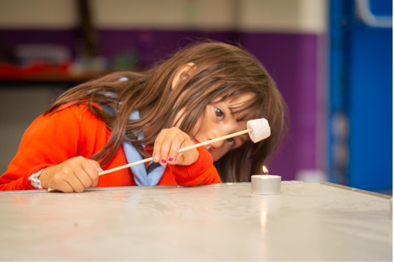 A young Squirrel is roasting a marshmallow over a tea light and she is watching it very closely.