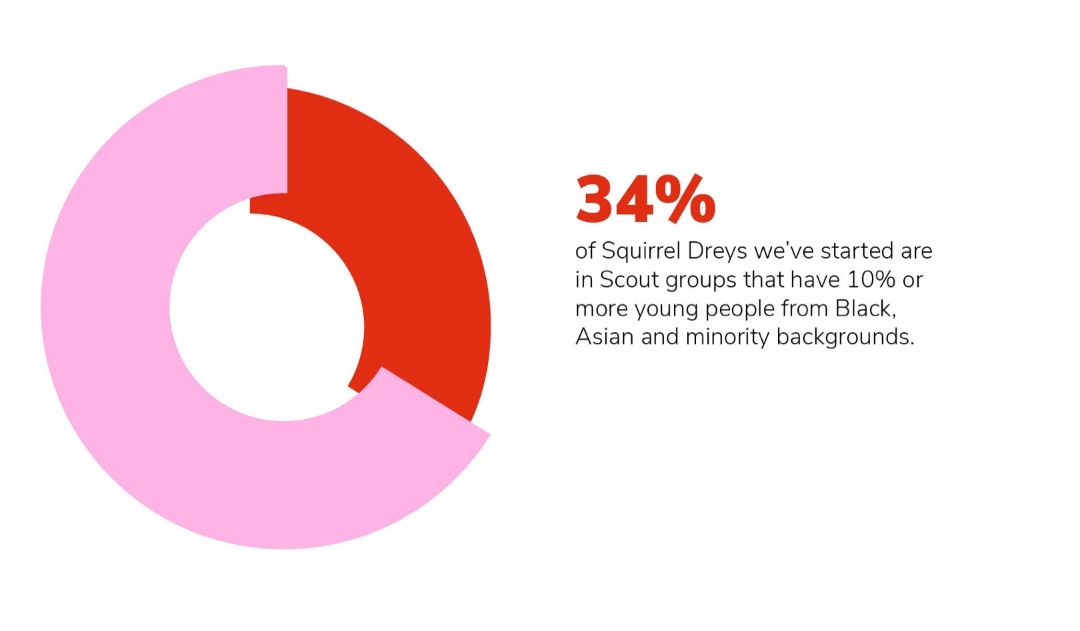 Red and pink graphic showing that 34% of Squirrel Dreys have 10% or more young people from Black, Asian and minority backgrounds