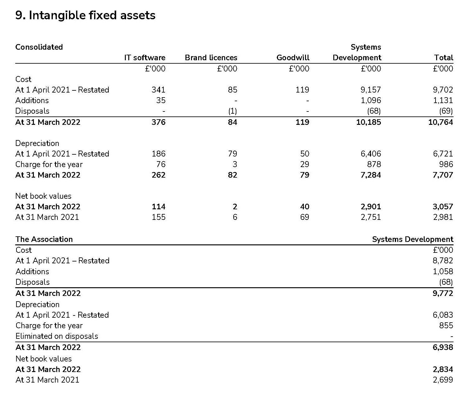 Table showing Scouts intangible fixed assets 2021-22
