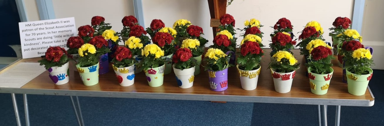 A brown table with lots of colourful flowerpots on it, with red and yellow flowers in the pots. Each pot has crowns and hearts on it.