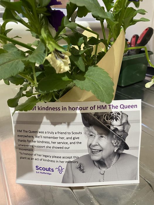 A postcard reading 'kindness in honour of HM The Queen' with a photo of the Queen is leaning on a flowerpot wrapped in yellow paper.