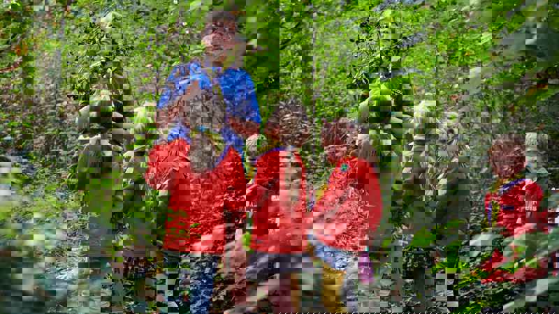 Explorer Scout Young Leaders' Scheme