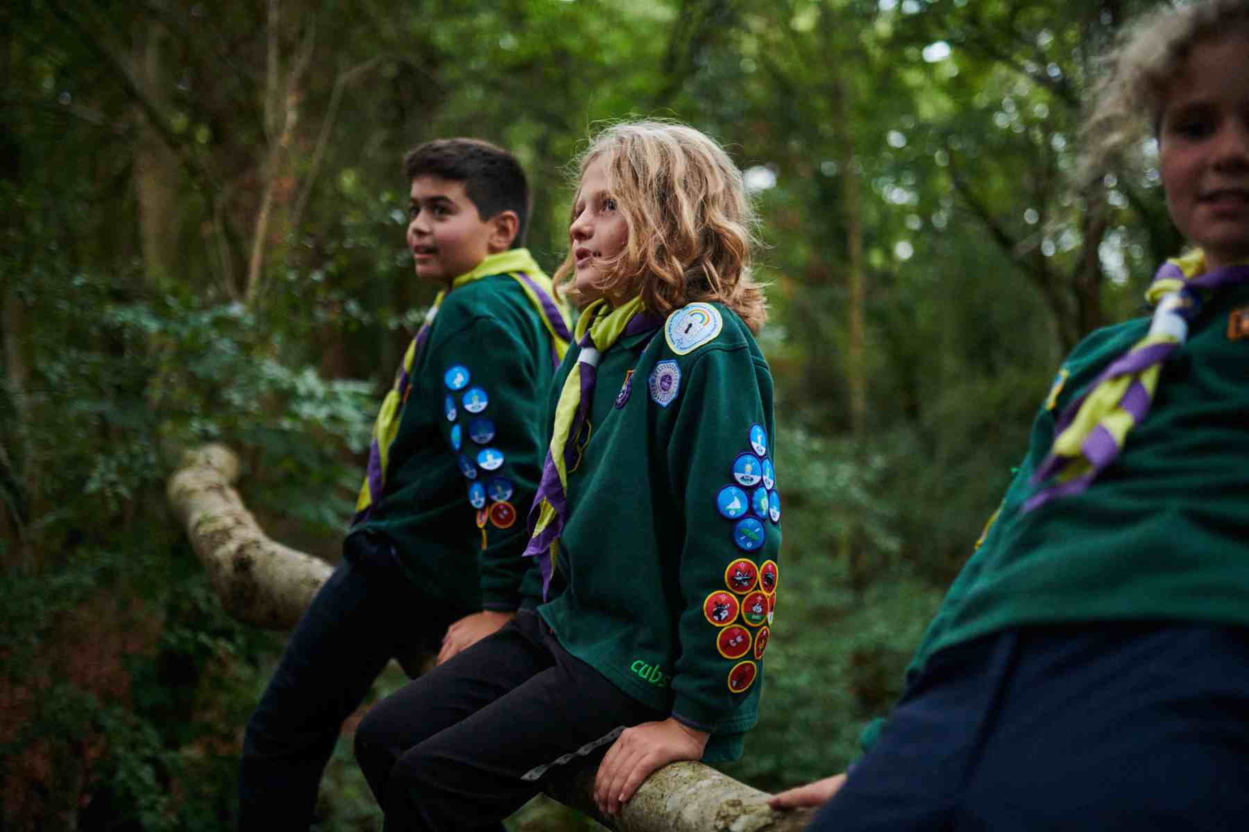 Two Cubs in green uniforms and neckers in a forest sitting on the branch of a tree.