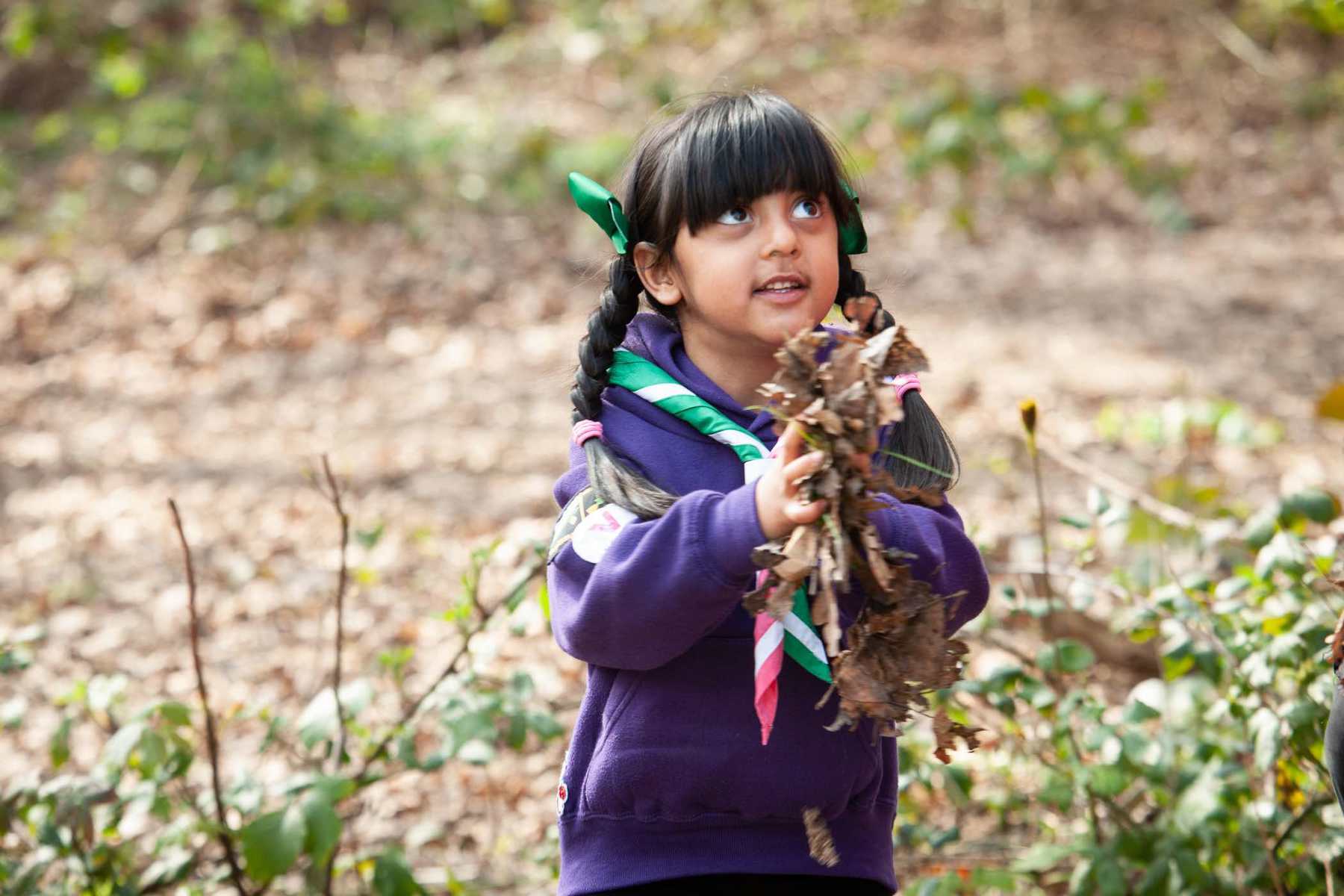 Young scout gathering leaves, as part of the Early Years pilot.