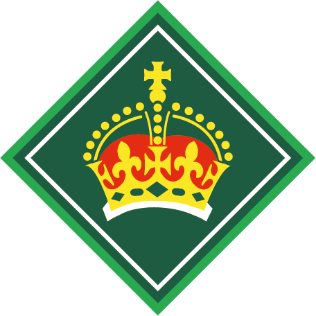 Graphic of the King's Scout Award badge.