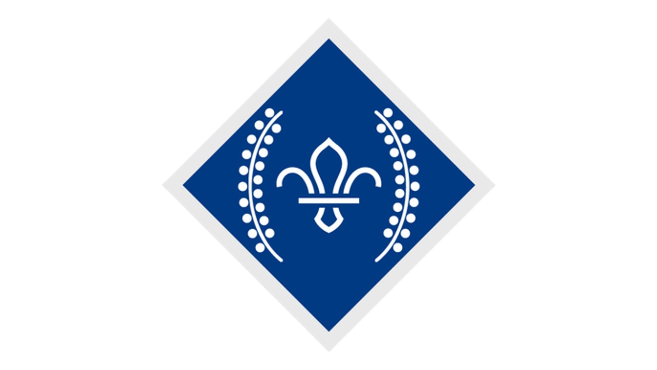 Graphic for the Chief Scout's Diamond Award