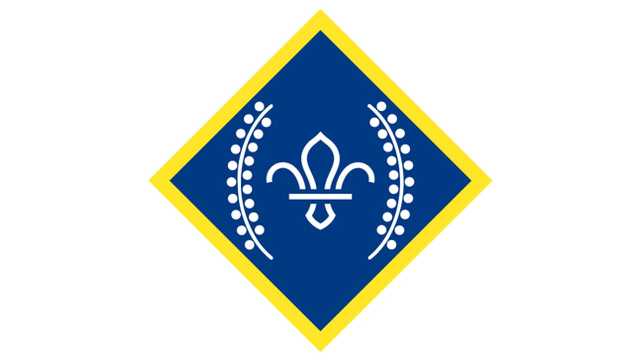 Graphic logo of the Chief Scout Platinum Award