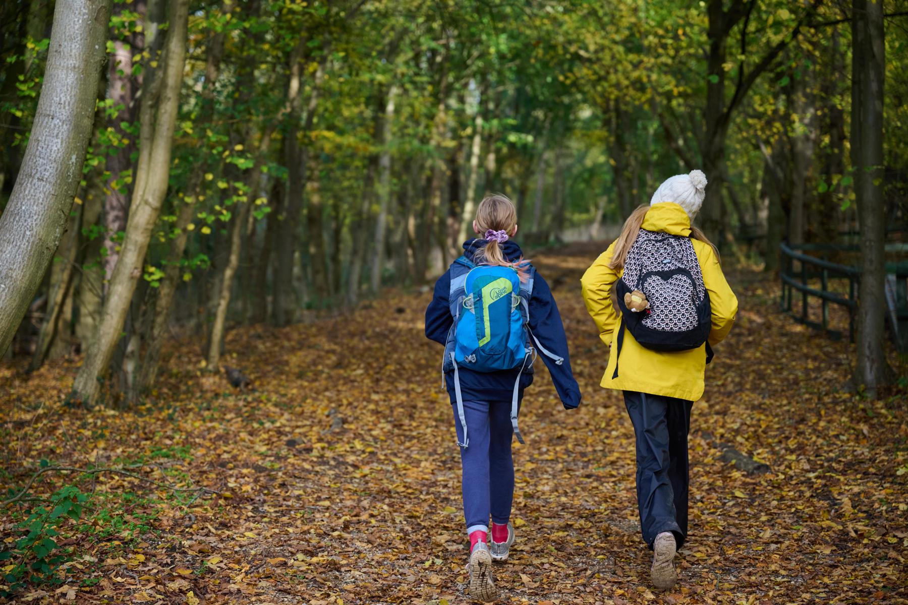 Two Scouts walking in woodland