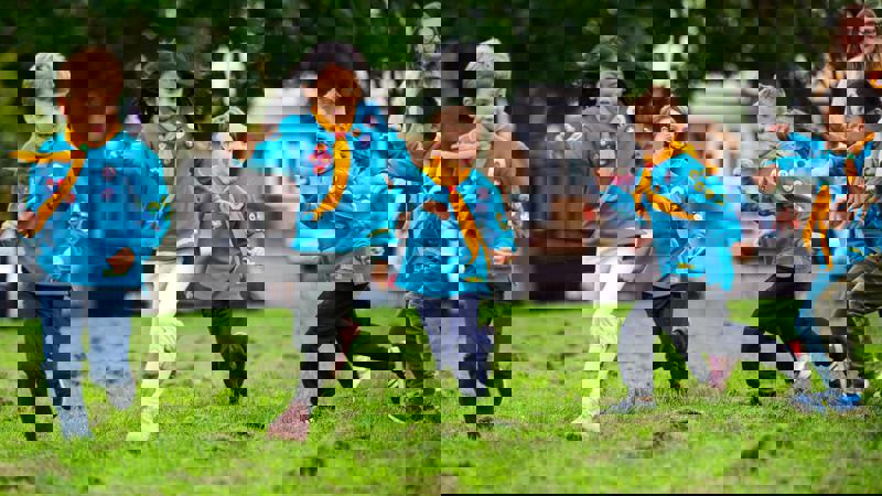 Moving up to Beavers