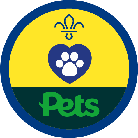 Pets at best sale home job vacancies