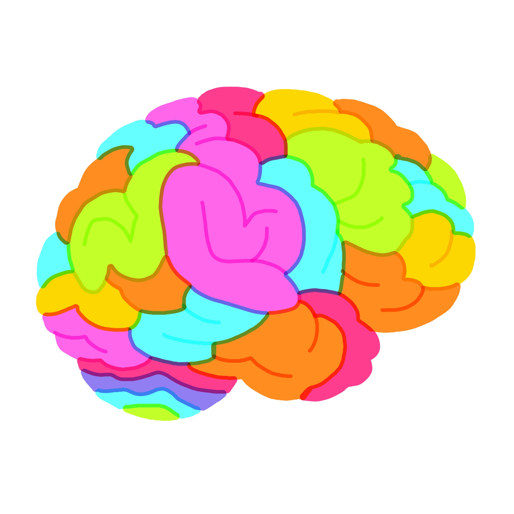 Illustration of brain with multiple colours
