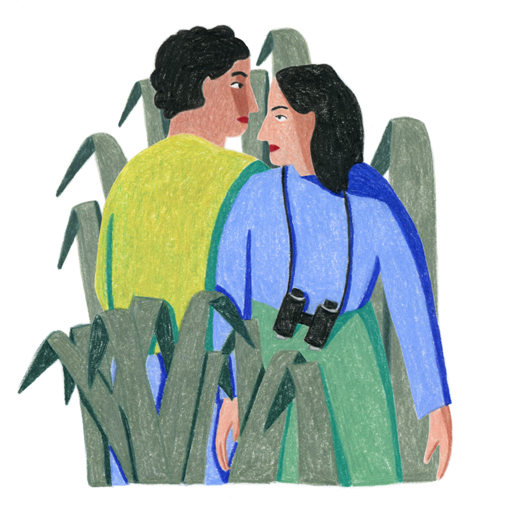 An illustration of a man and woman