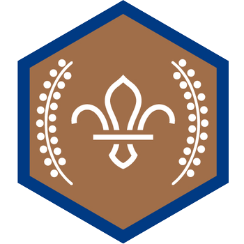 Chief Scout’s Bronze Award badge