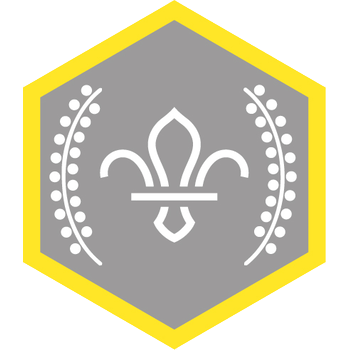 Chief Scout’s Silver Award badge
