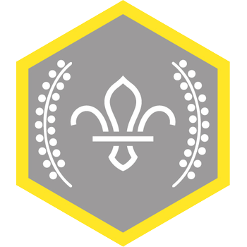 Chief Scout's Silver Award Badge