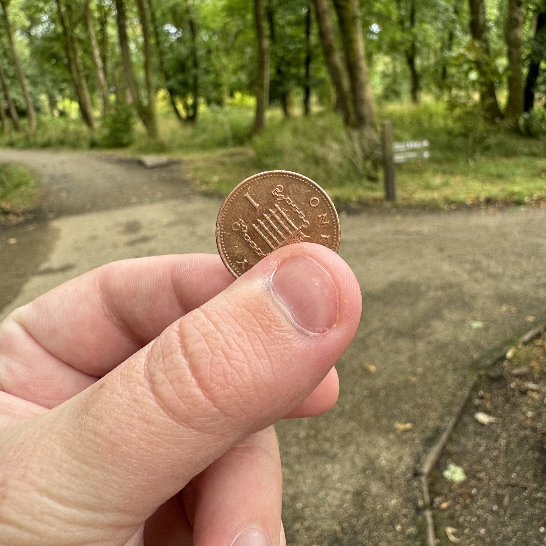 A hand holding a penny coin in front of two paths, with the forest in the background.