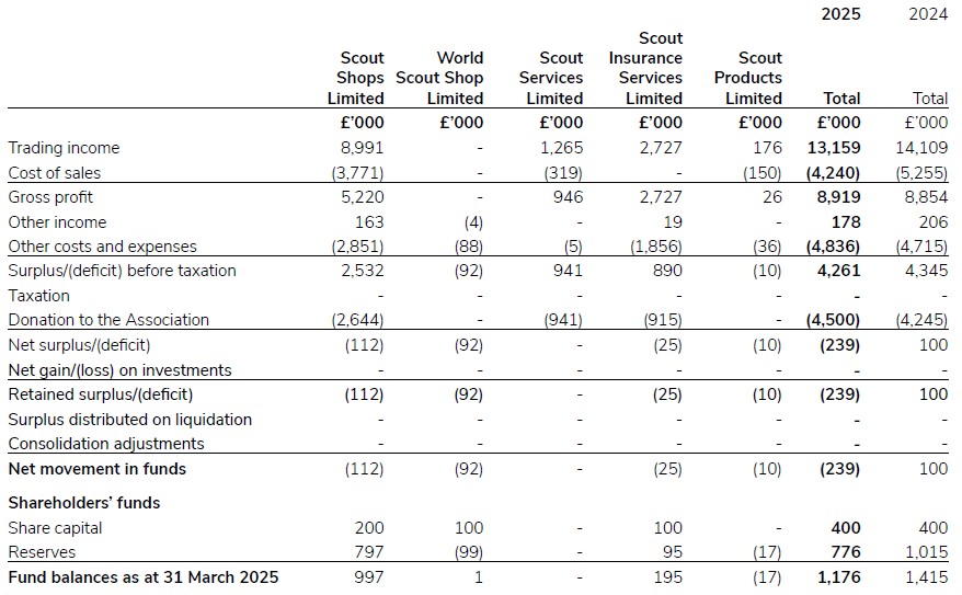 A document showing investment in subsidiaries for 2024/25.