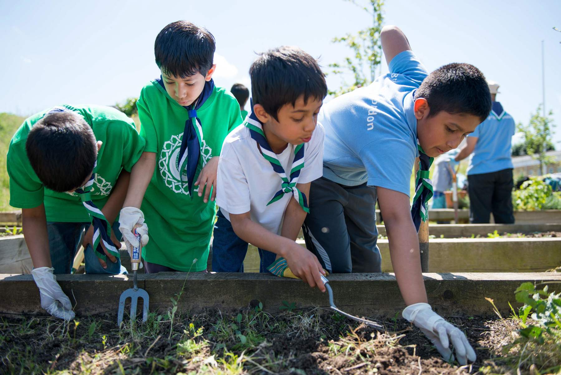 A group of four young people do some gardening.