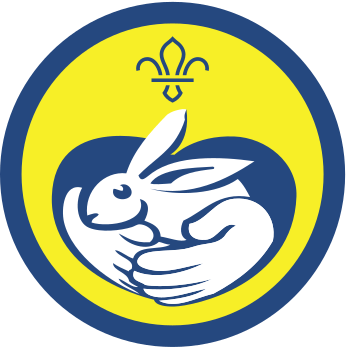 Beavers Animal Friend Activity Badge, yellow badge with blue border with an image of a rabbit with hands around it in a heart 