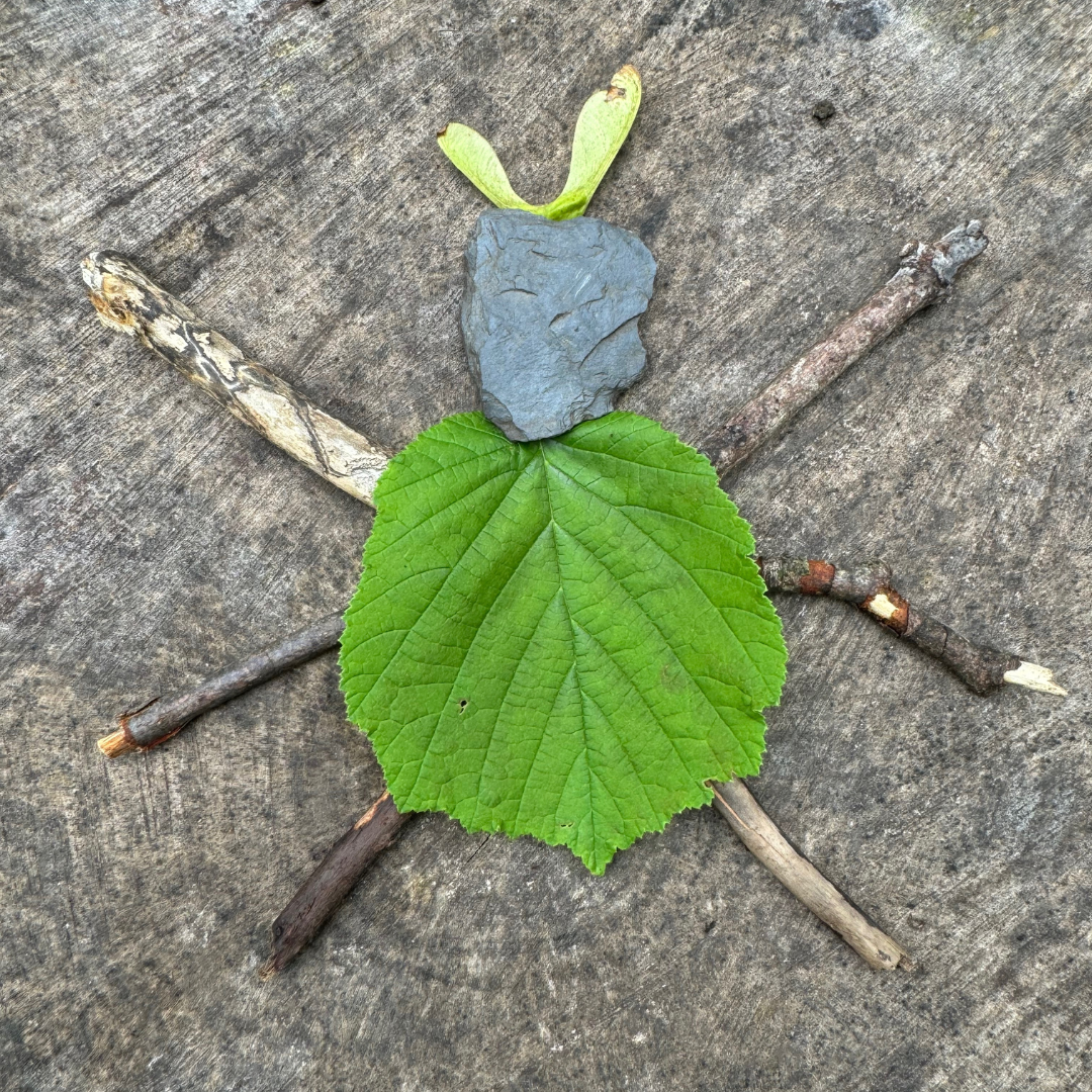 A picture of a beetle made out of natural objects. There is a pebble for the head, six sticks for leaves and a leaf for the body. A helicopter seed is the antenna. It's placed to look like a beetle on a tree stump. 