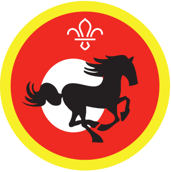 Equestrian badge