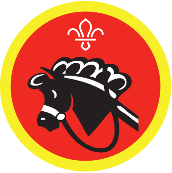 Hobbies badge
