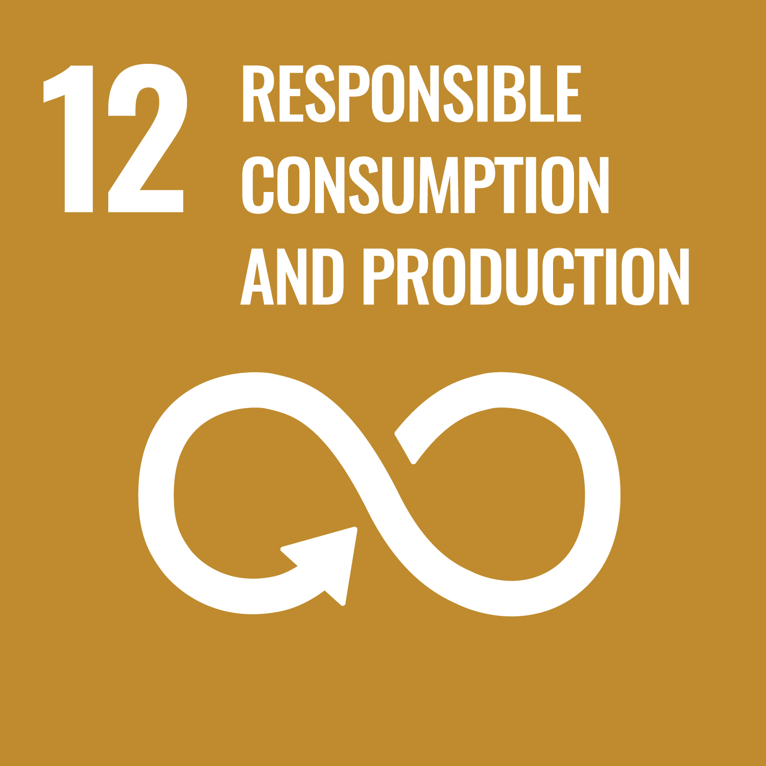 Logo with the number 12 and the words responsible consumption and production, with an image of a arrow in the shape of a sideways figure 8 below.