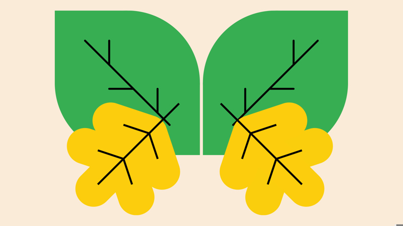 Leaf animals | Activities | Scouts Leaf animals | Activities | Scouts