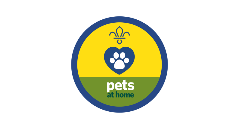 Animal friends | Activities | Scouts Animal friends | Activities | Scouts