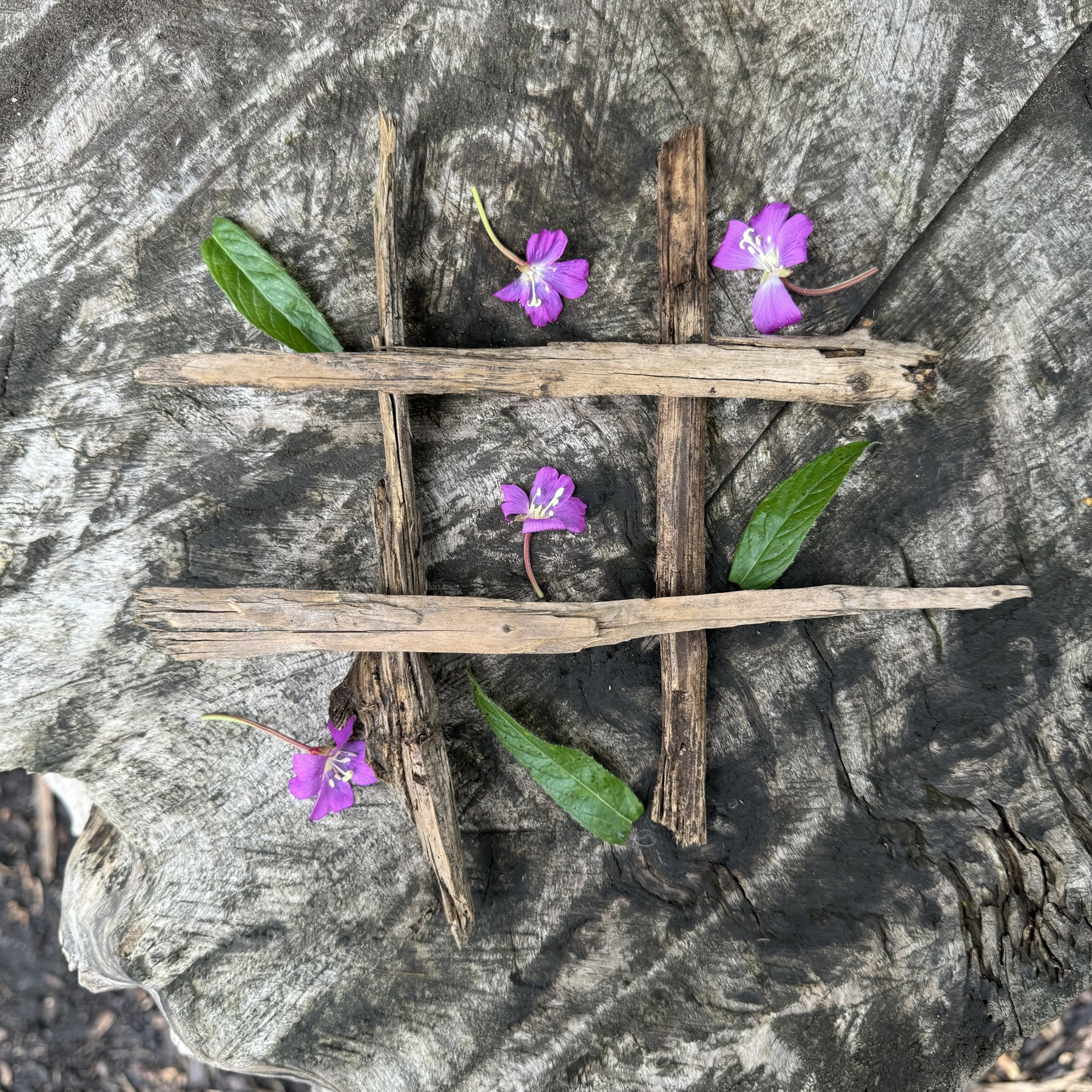 A noughts and crosses grid is made out of sticks and on a tree stump. There are three leaves and four pink flowers on the grid. Three flowers have won the game by getting three in the row in a diagonal line from top right to bottom left.