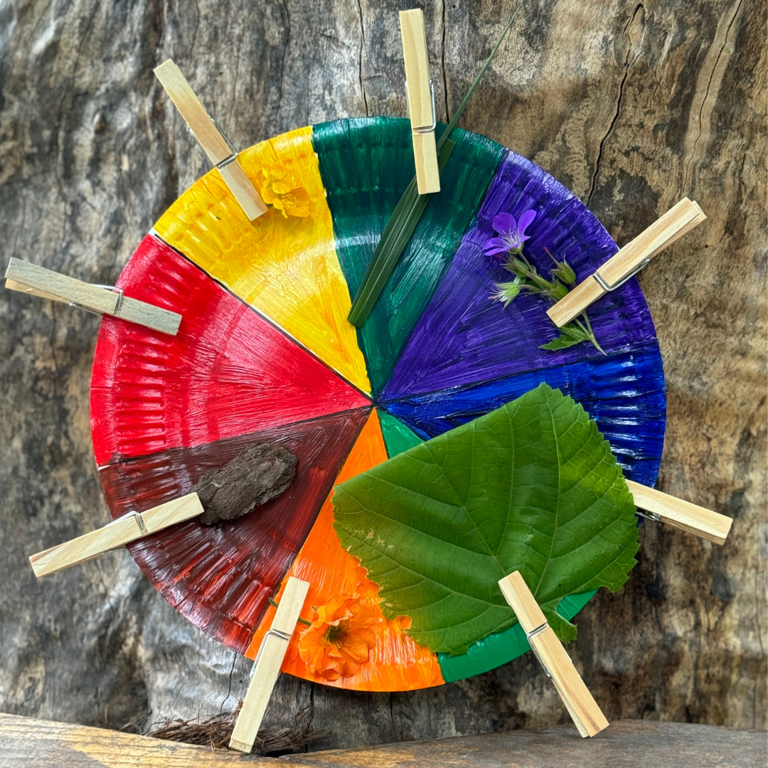 A wheel with the colours of the rainbow on it, plus dark green and brown. Each segment has a peg, with items attached, such as flowers, leaves and bark.
