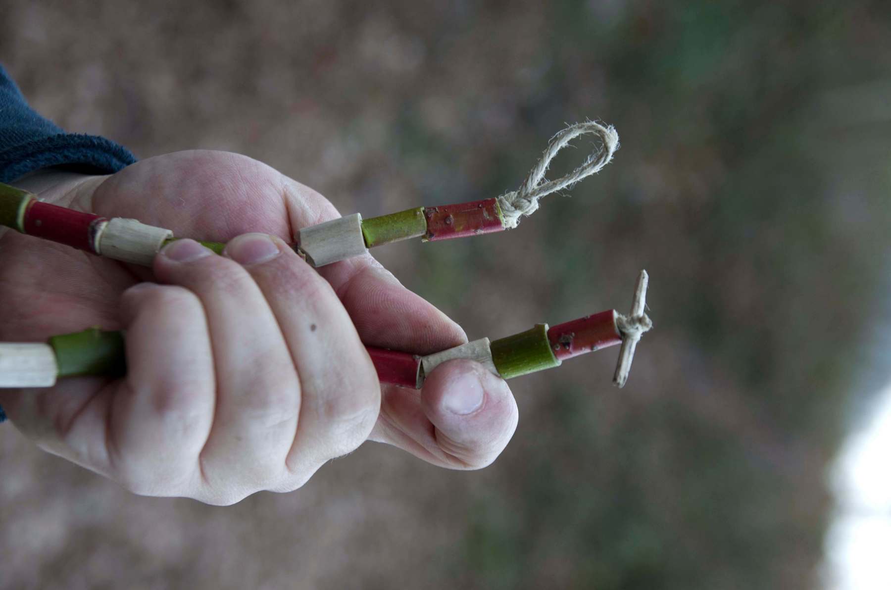 Hand holding the complete necklace made of segments of coloured wood.