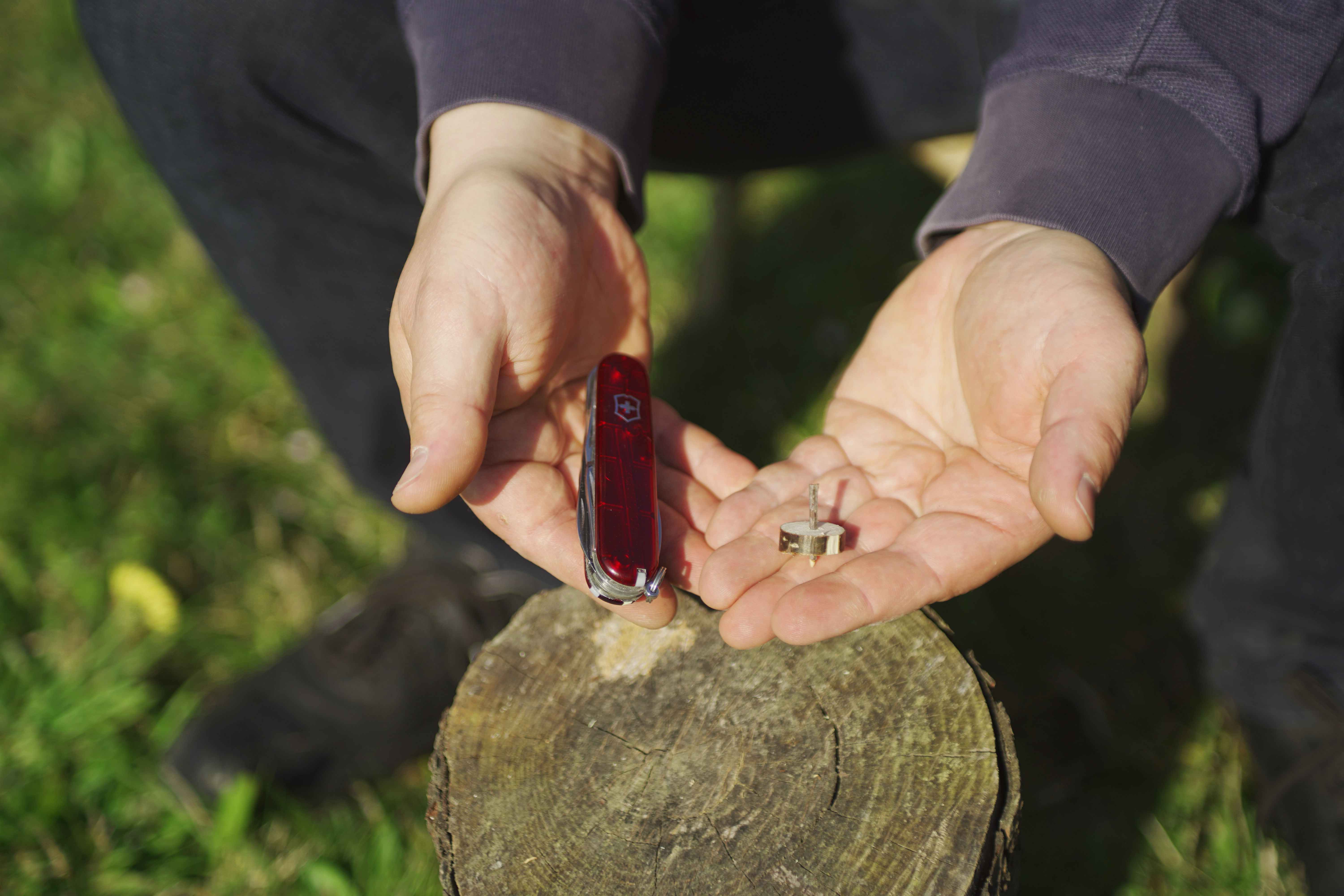 Victorinox Scouts