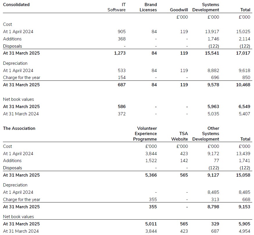 A document showing intangible fixed assets for 2024/25.