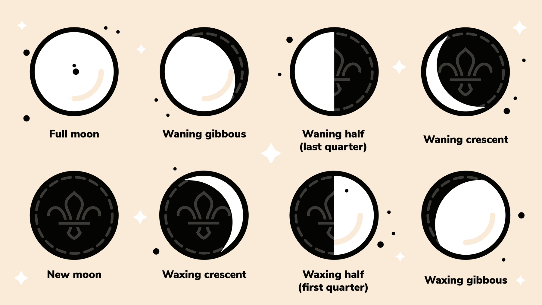The eight key phases of the Moon created using sandwich biscuits.