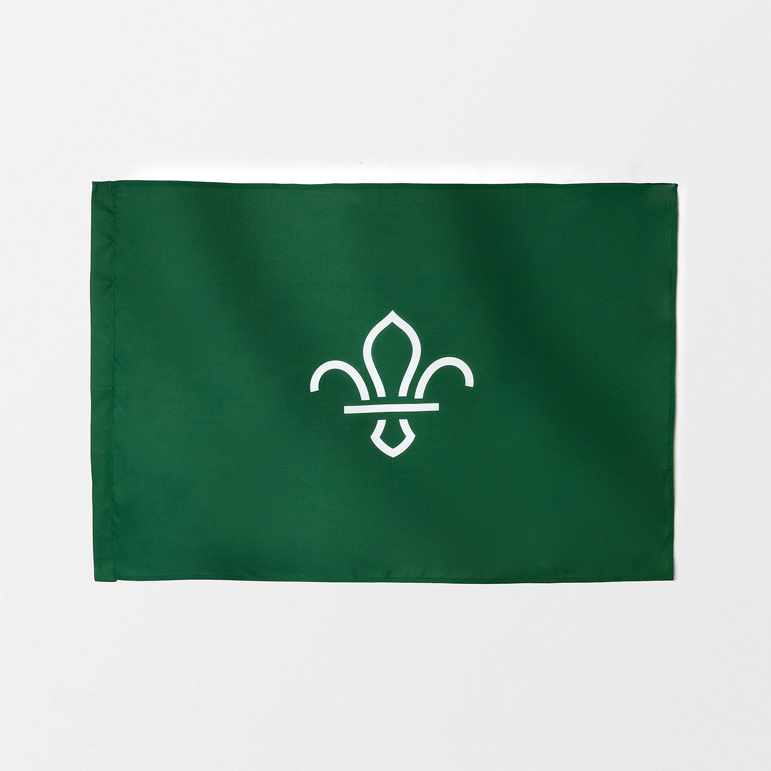 Scouts section flag