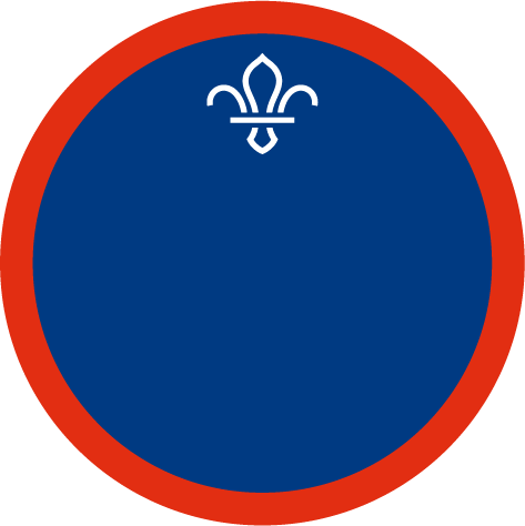 Communicator (pilot) badge