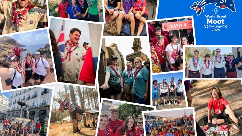 News Scouts News Scouts