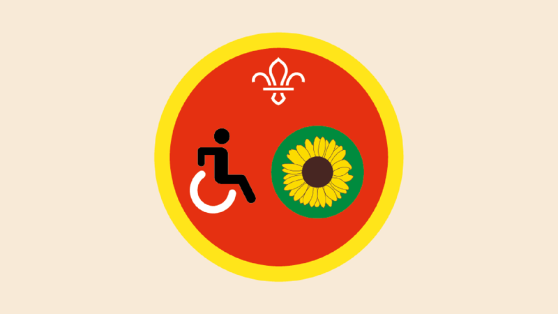 Cubs Disability Awareness