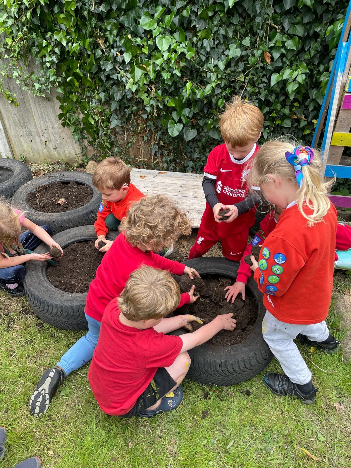 Squirrels gardening together in a tyre