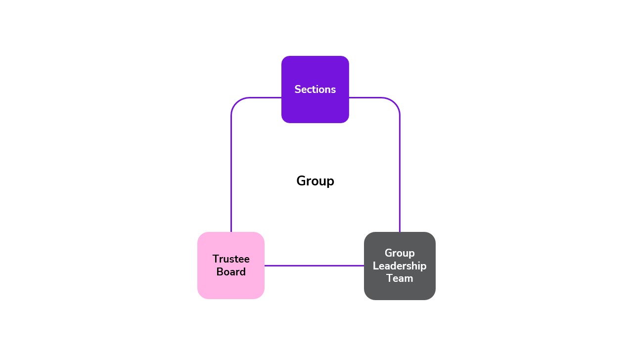 Diagram of a Group with Sections, Trustee Board, and a Group Leadership Team. It does not have any sub-teams